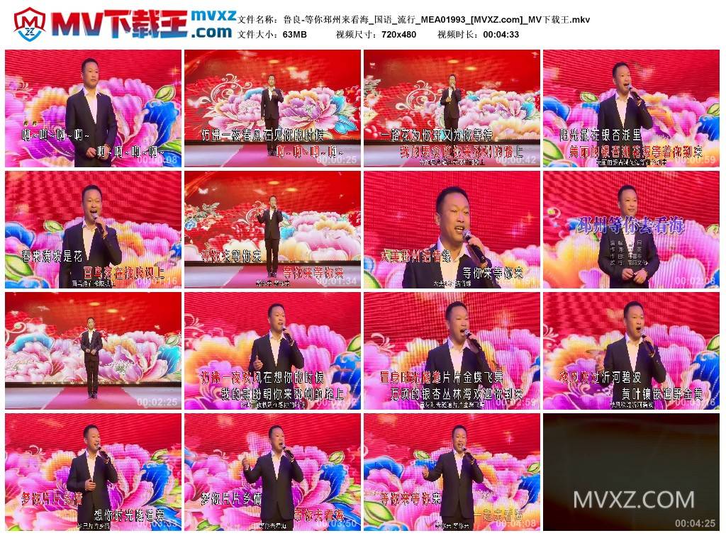 鲁良-等你邳州来看海_国语_流行_MEA01993